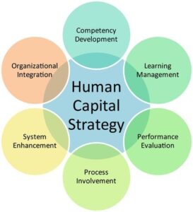 human_capital_management_image